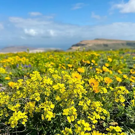 Atlantis Urlaubsfeeling Mit Solarbeheiztem Pool Διαμέρισμα Las Breñas