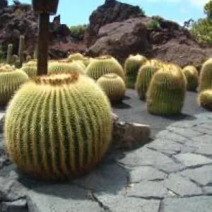 Appartamento Atlantis Urlaubsfeeling Mit Solarbeheiztem Pool *