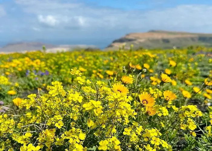 Atlantis Urlaubsfeeling Mit Solarbeheiztem Pool Appartement Las Breñas